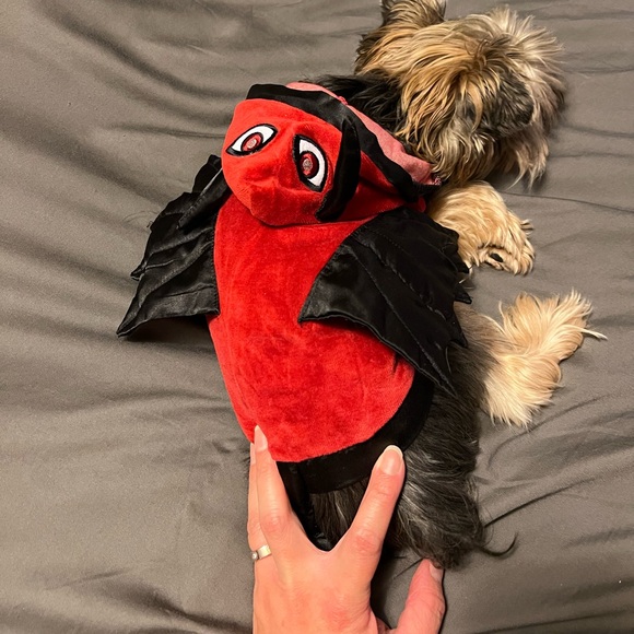 Martha Stewart Red Devil Pet Costume - Picture 6 of 9